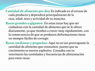 Cantidad de alimento por día: Es indicada en el envase de
cada producto y dependerá principalmente de la
raza, edad, sexo y actividad de tu mascota.
Razas grandes o gigantes: En estas razas hay que ser
cuidadoso con la cantidad de alimento que se le ofrece
diariamente, ya que tienden a crecer muy rápidamente, con
la consecuencia de que se producen deformaciones óseas
no siempre fáciles de corregir.
Razas medianas y pequeñas: Aquí no es tan preocupante la
cantidad de alimento que consumen, puesto que su
crecimiento es menos explosivo. Consulta con tu
veterinario las cantidades y frecuencias de alimentación
para estas razas.
 
