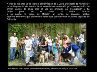 A fines de los años 80 se logró la conformación de la Junta Defensora de Animales y
ha hecho parte de ella hasta la fecha. A comienzos de los 90 logró la conformación del
primer Comité de Ética para el uso de animales en investigación y ha
hecho parte de él hasta la fecha. Gracias
a su acción no existe en Medellín un centro de zoonosis, fatídico
lugar de exterminio que tristemente tienen que padecer otras ciudades capitales de
Colombia.
Foto: Mariana Vélez, algunos animalistas independientes y voluntarios del albergue. 16/05/2013.
 