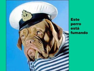 Este
perro
está
fumando

 