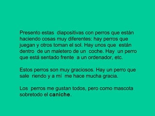 Presento estas diapositivas con perros que están
haciendo cosas muy diferentes: hay perros que
juegan y otros toman el sol. Hay unos que están
dentro de un maletero de un coche. Hay un perro
que está sentado frente a un ordenador, etc.
Estos perros son muy graciosos. Hay un perro que
sale riendo y a mí me hace mucha gracia.
Los perros me gustan todos, pero como mascota
sobretodo el caniche.

 