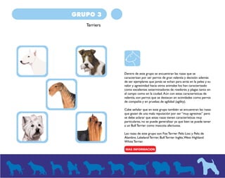 GRUPO 3 
Terriers 
Dentro de este grupo se encuentran las razas que se 
caracterizan por ser perros de gran valentía y decisión además 
de ser ejemplares que jamás se echan para atrás en la pelea y su 
valor y agresividad hacia otros animales los han caracterizado 
como excelentes exterminadores de roedores y plagas tanto en 
el campo como en la ciudad. Aún con estas características de 
valentía, son perros que se destacan en actividades como perros 
de compañía y en pruebas de agilidad (agility). 
Cabe señalar que en este grupo también se encuentran las razas 
que gozan de una mala reputación por ser “muy agresivas” pero 
se debe aclarar que estas razas tienen características muy 
particulares, no se puede generalizar ya que bien se puede tener 
a un Bull Terrier como mascota afectuosa. 
Las razas de este grupo son Fox Terrier Pelo Liso y Pelo de 
Alambre, Lakeland Terrier, Bull Terrier Inglés, West Highland 
White Terrier. 
 