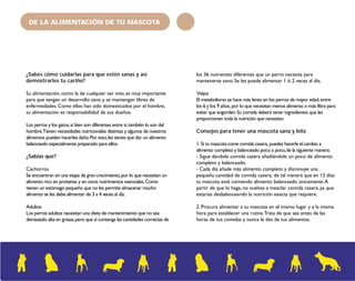 DE LA ALIMENTACIÓN DE TU MASCOTA 
¿Sabes cómo cuidarlas para que estén sanas y así 
demostrarles tu cariño? 
Su alimentación, como la de cualquier ser vivo, es muy importante 
para que tengan un desarrollo sano y se mantengan libres de 
enfermedades. Como ellos han sido domesticados por el hombre, 
su alimentación es responsabilidad de sus dueños. 
Los perros y los gatos, si bien son diferentes entre sí, también lo son del 
hombre. Tienen necesidades nutricionales distintas y algunos de nuestros 
alimentos pueden hacerles daño. Por esto, les tienes que dar un alimento 
balanceado especialmente preparado para ellos. 
¿Sabías que? 
Cachorros 
Se encuentran en una etapa de gran crecimiento, por lo que necesitan un 
alimento rico en proteínas y en otros nutrimentos esenciales. Como 
tienen un estómago pequeño que no les permite almacenar mucho 
alimento se les debe alimentar de 3 a 4 veces al día. 
Adultos 
Los perros adultos necesitan una dieta de mantenimiento que no sea 
demasiado alta en grasas, pero que sí contenga las cantidades correctas de 
los 36 nutrientes diferentes que un perro necesita para 
mantenerse sano. Se les puede alimentar 1 ó 2 veces al día. 
Viejos 
El metabolismo se hace más lento en los perros de mayor edad, entre 
los 6 y los 9 años, por lo que necesitan menos alimento o más fibra para 
evitar que engorden. Su comida deberá tener ingredientes que les 
proporcionen toda la nutrición que necesitan. 
Consejos para tener una mascota sana y feliz 
1. Si tu mascota come comida casera, puedes hacerle el cambio a 
alimento completo y balanceado poco a poco, de la siguiente manera: 
- Sigue dándole comida casera añadiéndole un poco de alimento 
completo y balanceado. 
- Cada día añade más alimento completo y disminuye una 
pequeña cantidad de comida casera, de tal manera que en 12 días 
tu mascota esté comiendo alimento balanceado únicamente. A 
partir de que lo haga, no vuelvas a mezclar comida casera, ya que 
estarías desbalanceando la nutrición exacta que requiere. 
2. Procura alimentar a tu mascota en el mismo lugar y a la misma 
hora para establecer una rutina. Trata de que sea antes de las 
horas de tus comidas y nunca le des de tus alimentos. 
 
