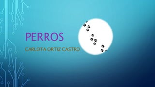 CARLOTA ORTIZ CASTRO
PERROS
 