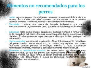 Alimentos no recomendados para los
perros
• Leche: algunos perros, como algunas personas, presentan intolerancia a la
lactosa. Es por ello que debe dárseles con precaución, y, a la primera
reacción adversa —vómitos, diarrea— suspenderla de inmediato
• Chocolate: contiene una sustancia llamada teobromina que causa
intoxicación en el organismo del perro y puede ser fatal en grandes dosis.
• Golosinas: tales como frituras, caramelos, galletas; tienden a formar sarro
en la dentadura del perro. Además los azúcares les hacen propensos a la
diabetes. Existen golosinas especiales para ellos que incluso protegen de
la formación de sarro.
• Huesos cocidos: en especial los de pollo. Al ser triturados por la mandíbula
del perro pueden formar esquirlas con puntas muy agudas, las cuales
fácilmente pueden perforar el esófago, intestino o recto provocando
hemorragias internas, infección y consecuentemente mucho dolor.68
• Alimentos o desperdicios caseros: se deben evitar los alimentos muy
condimentados, ya que los perros son especialmente sensibles a la sal,
pimienta y chile. De igual forma se deben evitar los alimentos con exceso
de grasa. Los desperdicios o restos de alimentos, normalmente poco
frescos deben ser eliminados.
 