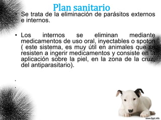 Plan sanitario
• Se trata de la eliminación de parásitos externos
e internos.
• Los internos se eliminan mediante
medicamentos de uso oral, inyectables o spoton
( este sistema, es muy útil en animales que se
resisten a ingerir medicamentos y consiste en la
aplicación sobre la piel, en la zona de la cruz,
del antiparasitario).
•
•
 