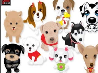 los perro ....expocioson de ICA Perros