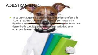 ADIESTRAMIENTO
 En su uso más general y amplio el adiestramiento refiere a la
acción y resultado de adiestrar, en tanto, por adiestrar se
significa a hacer diestro, enseñar o instruir a alguien sobre una
determinada cuestión, una técnica o una actividad, entre
otras, con determinada finalidad o misión.
 