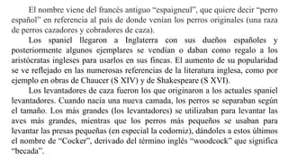 El nombre viene del francés antiguo “espaigneul”, que quiere decir “perro
español” en referencia al país de donde venían los perros originales (una raza
de perros cazadores y cobradores de caza).
Los spaniel llegaron a Inglaterra con sus dueños españoles y
posteriormente algunos ejemplares se vendían o daban como regalo a los
aristócratas ingleses para usarlos en sus fincas. El aumento de su popularidad
se ve reflejado en las numerosas referencias de la literatura inglesa, como por
ejemplo en obras de Chaucer (S XIV) y de Shakespeare (S XVI).
Los levantadores de caza fueron los que originaron a los actuales spaniel
levantadores. Cuando nacía una nueva camada, los perros se separaban según
el tamaño. Los más grandes (los levantadores) se utilizaban para levantar las
aves más grandes, mientras que los perros más pequeños se usaban para
levantar las presas pequeñas (en especial la codorniz), dándoles a estos últimos
el nombre de “Cocker”, derivado del término inglés “woodcock” que significa
“becada”.
 