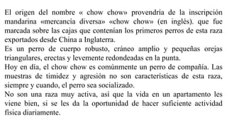 El origen del nombre « chow chow» provendría de la inscripción
mandarina «mercancía diversa» «chow chow» (en inglés). que fue
marcada sobre las cajas que contenían los primeros perros de esta raza
exportados desde China a Inglaterra.
Es un perro de cuerpo robusto, cráneo amplio y pequeñas orejas
triangulares, erectas y levemente redondeadas en la punta.
Hoy en día, el chow chow es comúnmente un perro de compañía. Las
muestras de timidez y agresión no son características de esta raza,
siempre y cuando, el perro sea socializado.
No son una raza muy activa, así que la vida en un apartamento les
viene bien, si se les da la oportunidad de hacer suficiente actividad
física diariamente.
 