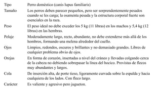 Tipo Perro doméstico (canis lupus familiaris)
Tamaño Los perros deben parecer pequeños, pero ser sorprendentemente pesados
cuando se les carga; la osamenta pesada y la estructura corporal fuerte son
esenciales en la raza.
Peso El peso ideal no debe exceder los 5 kg (11 libras) en los machos y 5,4 kg (12
libras) en las hembras.
Pelaje Moderadamente largo, recto, abundante, no debe extenderse más allá de los
hombros, formando una melena alrededor del cuello.
Ojos Limpios, redondos, oscuros y brillantes y no demasiado grandes. Libres de
cualquier problema obvio de ojos.
Orejas En forma de corazón, insertadas a nivel del cráneo y llevadas colgando cerca
de la cabeza no debiendo sobrepasar la línea del hocico. Provistas de flecos
muy abundantes y largos.
Cola De inserción alta, de porte tieso, ligeramente curvada sobre la espalda y hacia
cualquiera de los lados. Con fleco largo.
Carácter Es valiente y agresivo pero jugueton.
 