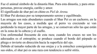 Fue el animal símbolo de la dinastía Han. Para esta dinastía, y para otras
personas, provee energía, cariño y amor.
El significado de shar pei en chino es Piel de Arena.
El Shar Pei destaca por su temperamento sereno y equilibrado.
Las arrugas son más abundantes cuando el Shar Pei es un cachorro, en la
mayoría de los casos, a medida que el perro va creciendo se van
perdiendo la mayor parte de las arrugas, y se conservan sólo las que están
en la zona de la cabeza y el cuello.
Una enfermedad frecuente de esta raza; cuando los cruces no son los
adecuados es el entropión; se produce cuando el borde del párpado se
pliega o invierte en dirección hacia la superficie del ojo.
Debido al tamaño reducido de sus orejas y a la estrechez consiguiente de
sus oídos, el shar pei es una raza con tendencia a sufrir otitis.
 
