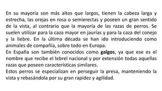 En su mayoría son más altos que largos, tienen la cabeza larga y
estrecha, las orejas en rosa o semierectas y poseen un gran sentido
de la vista, al contrario que la mayoría de las razas de perros. Se
suelen utilizar para la caza mayor en jaurías y para la caza del conejo
y la liebre. En la última década se han ido introduciendo como
animales de compañía, sobre todo en Europa.
En España son también conocidos como galgos, ya que ese es el
nombre que recibe el lebrel nacional y por extensión todas aquellas
razas que poseen características similares.
Estos perros se especializan en perseguir la presa, manteniendo la
vista y rebasándola por su gran rapidez y agilidad.
 