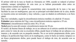 El primer club de la raza se fundó en Alemania en 1888, cuando se redactó el primer
estándar, aunque ejemplares de esta raza ya se habían presentado años antes en
exposiciones caninas en Inglaterra.
Estas patas cortas son quizás la característica más reconocida de la raza y las que
facilitan la caza en madrigueras, que era su principal actividad dentro de la caza, donde
se muestra como un rastreador y muy valiente, y que no dudará en enfrentarse a un fiero
jabalí.
Hay tres variedades, según la circunferencia torácica medida a la edad de 15 meses:
Estándar: peso máximo de 9 kg y una circunferencia torácica superior a 35 cm.
Miniatura: circunferencia torácica entre 30 y 35 cm.
Teckel para la caza del conejo: circunferencia menor de 30 cm.
El teckel, de buenas líneas de trabajo, no es un sabueso en el estricto sentido del término,
pero como le viene de este su excelente olfato, puede hacer el trabajo de un sabueso a su
manera y de acuerdo con su pequeño tamaño. No es un terrier propiamente dicho, pero
trabaja a la perfección bajo tierra en la madriguera, como lo haría un terrier, tampoco es
un braco propiamente dicho, pero puede hacer el trabajo de éste, de acuerdo con su
tamaño.
 