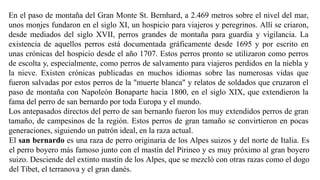 En el paso de montaña del Gran Monte St. Bernhard, a 2.469 metros sobre el nivel del mar,
unos monjes fundaron en el siglo XI, un hospicio para viajeros y peregrinos. Allí se criaron,
desde mediados del siglo XVII, perros grandes de montaña para guardia y vigilancia. La
existencia de aquellos perros está documentada gráficamente desde 1695 y por escrito en
unas crónicas del hospicio desde el año 1707. Estos perros pronto se utilizaron como perros
de escolta y, especialmente, como perros de salvamento para viajeros perdidos en la niebla y
la nieve. Existen crónicas publicadas en muchos idiomas sobre las numerosas vidas que
fueron salvadas por estos perros de la "muerte blanca" y relatos de soldados que cruzaron el
paso de montaña con Napoleón Bonaparte hacia 1800, en el siglo XIX, que extendieron la
fama del perro de san bernardo por toda Europa y el mundo.
Los antepasados directos del perro de san bernardo fueron los muy extendidos perros de gran
tamaño, de campesinos de la región. Estos perros de gran tamaño se convirtieron en pocas
generaciones, siguiendo un patrón ideal, en la raza actual.
El san bernardo es una raza de perro originaria de los Alpes suizos y del norte de Italia. Es
el perro boyero más famoso junto con el mastín del Pirineo y es muy próximo al gran boyero
suizo. Desciende del extinto mastín de los Alpes, que se mezcló con otras razas como el dogo
del Tíbet, el terranova y el gran danés.
 