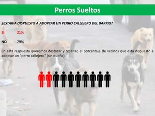 Perros Sueltos
¿ESTARIA DISPUESTO A ADOPTAR UN PERRO CALLEJERO DEL BARRIO?
SI 21%
NO 79%
En esta respuesta queremos destacar y resaltar, el porcentaje de vecinos que está dispuesto a
adoptar un "perro callejero“ (sin dueño).
 