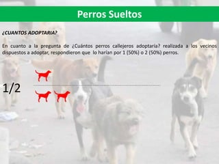 Perros Sueltos
¿CUANTOS ADOPTARIA?
En cuanto a la pregunta de ¿Cuántos perros callejeros adoptaría? realizada a los vecinos
dispuestos a adoptar, respondieron que lo harían por 1 (50%) o 2 (50%) perros.
1/2
 