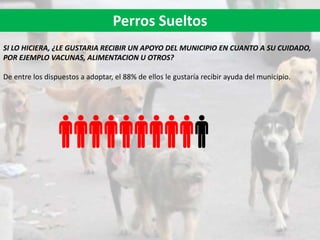 Perros Sueltos
SI LO HICIERA, ¿LE GUSTARIA RECIBIR UN APOYO DEL MUNICIPIO EN CUANTO A SU CUIDADO,
POR EJEMPLO VACUNAS, ALIMENTACION U OTROS?
De entre los dispuestos a adoptar, el 88% de ellos le gustaría recibir ayuda del municipio.
 
