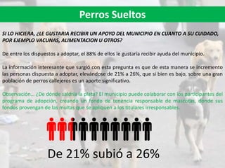 Perros Sueltos
SI LO HICIERA, ¿LE GUSTARIA RECIBIR UN APOYO DEL MUNICIPIO EN CUANTO A SU CUIDADO,
POR EJEMPLO VACUNAS, ALIMENTACION U OTROS?
De entre los dispuestos a adoptar, el 88% de ellos le gustaría recibir ayuda del municipio.
La información interesante que surgió con esta pregunta es que de esta manera se incremento
las personas dispuesta a adoptar, elevándose de 21% a 26%, que si bien es bajo, sobre una gran
población de perros callejeros es un aporte significativo.
Observación… ¿De dónde saldría la plata? El municipio puede colaborar con los participantes del
programa de adopción, creando un fondo de tenencia responsable de mascotas, donde sus
fondos provengan de las multas que se apliquen a los titulares irresponsables.
De 21% subió a 26%
 