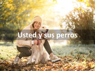 Usted y sus perros
 