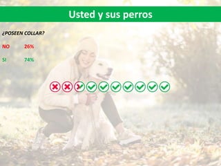 Usted y sus perros
¿POSEEN COLLAR?
NO 26%
SI 74%
 