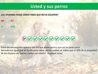 Usted y sus perros
¿SU VIVIENDA POSEE CERCO PARA QUE NO SE ESCAPEN?
NO 6%
SI 94%
Entre los encuestados aparece ese 6% que posee perro y aun así no tiene cerco.
Recordemos igual que en la encuesta sobre perros sueltos se indico que el 50% de la propiedad
de los titulares de "perros sueltos con dueño" no posee cerco.
 