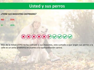 Usted y sus perros
¿TIENE SUS MASCOTAS CASTRADAS?
NO 55%
SI 45%
Más de la mitad (55%) no ha castrado a sus mascotas, esto sumado a que largan sus perros a la
calle es un serio problema en cuanto a la superpoblación canina.
 