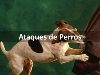 Ataques de Perros
 