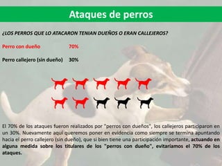Ataques de perros
¿LOS PERROS QUE LO ATACARON TENIAN DUEÑOS O ERAN CALLEJEROS?
Perro con dueño 70%
Perro callejero (sin dueño) 30%
El 70% de los ataques fueron realizados por "perros con dueños", los callejeros participaron en
un 30%. Nuevamente aquí queremos poner en evidencia como siempre se termina apuntando
hacia el perro callejero (sin dueño), que si bien tiene una participación importante, actuando en
alguna medida sobre los titulares de los "perros con dueño", evitaríamos el 70% de los
ataques.
 