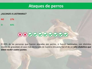 Ataques de perros
¿ALCANZO A LASTIMARLE?
NO 17%
SI 83%
El 83% de las personas que fueron atacadas por perros, si fueron lastimadas, con distintos
niveles de gravedad, el caso más destacado de nuestra encuesta fue el de un niño diabético que
debió recibir cuatro puntos.
 