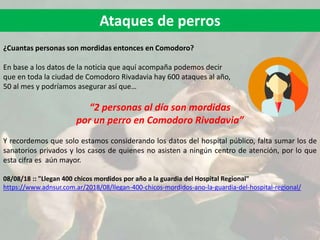 Ataques de perros
¿Cuantas personas son mordidas entonces en Comodoro?
En base a los datos de la noticia que aquí acompaña podemos decir
que en toda la ciudad de Comodoro Rivadavia hay 600 ataques al año,
50 al mes y podríamos asegurar así que…
“2 personas al día son mordidas
por un perro en Comodoro Rivadavia”
Y recordemos que solo estamos considerando los datos del hospital público, falta sumar los de
sanatorios privados y los casos de quienes no asisten a ningún centro de atención, por lo que
esta cifra es aún mayor.
08/08/18 :: "Llegan 400 chicos mordidos por año a la guardia del Hospital Regional"
https://www.adnsur.com.ar/2018/08/llegan-400-chicos-mordidos-ano-la-guardia-del-hospital-regional/
 