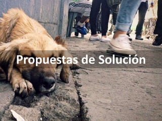 Propuestas de Solución
 