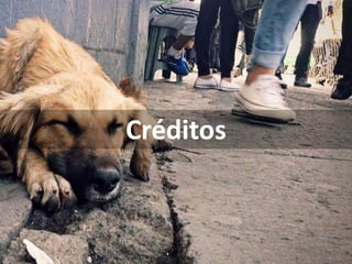 Créditos
 