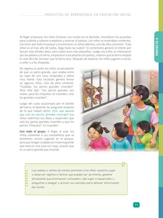 Al llegar al parque, los niños hicieron una ronda con la docente, recordaron los acuerdos
para cuidarse y salieron a explorar y recorrer el parque. Los niños se mostraban contentos,
corrieron por todo el parque y encontraron un árbol altísimo, uno de ellos comentó: “Este
árbol es el más alto de todos, llega hasta las nubes”. El comentario generó el interés por
buscar más árboles altos, pero todos eran más pequeños. Luego, los niños se interesaron
por las piedras y la tierra, empezaron a escarbarla con palitos; notaron que la tierra mojada
es más fácil de remover que la tierra seca. Después de explorar, los niños jugaron a correr,
a saltar y a las chapadas.
De regreso al jardín los niños se percataron
de que un perro grande, que estaba entre
las rejas de una casa, empezaba a ladrar
muy fuerte. Esta situación generó temor
en algunos niños. Uno de ellos comentó:
“Cuidado, los perros grandes muerden”.
Otra niña dijo: “Los perros grandes son
malos, pero los chiquitos no muerden; solo
los grandes muerden”.
Luego del susto ocasionado por el ladrido
del perro, la docente les preguntó respecto
de lo que habían dicho: ¿Por qué piensan
que solo los perros grandes muerden? Los
niños reafirman sus ideas y responden que
solo los perros grandes muerden y que los
perros “chiquitos” no muerden.
Con todo el grupo: A llegar al aula, los
niños comentan a sus compañeros que se
divirtieron mucho jugando en el parque,
peroquetengancuidadoconelperrogrande
que está en una casa con rejas, puesto que
es un perro grande que muerde.
Las salidas o visitas de campo permiten a los niños: explorar, jugar
y observar objetos o hechos que pueden ser de interés; generar
situaciones que promuevan curiosidad y den lugar a inquietudes y
preguntas a indagar y activar sus sentidos para obtener información
del mundo.
PROYECTO5
PROYECTOS DE APRENDIZAJE EN EDUCACIÓN INICIAL
11
 