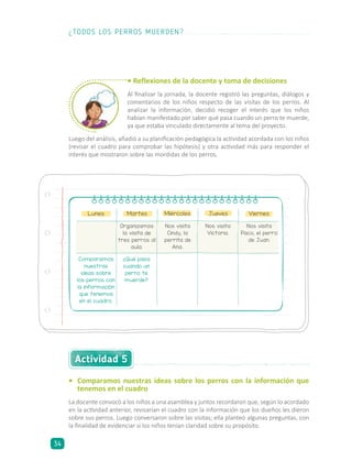 • Reflexiones de la docente y toma de decisiones
Al finalizar la jornada, la docente registró las preguntas, diálogos y
comentarios de los niños respecto de las visitas de los perros. Al
analizar la información, decidió recoger el interés que los niños
habían manifestado por saber qué pasa cuando un perro te muerde,
ya que estaba vinculado directamente al tema del proyecto.
Luego del análisis, añadió a su planificación pedagógica la actividad acordada con los niños
(revisar el cuadro para comprobar las hipótesis) y otra actividad más para responder el
interés que mostraron sobre las mordidas de los perros.
•	 Comparamos nuestras ideas sobre los perros con la información que
tenemos en el cuadro
La docente convocó a los niños a una asamblea y juntos recordaron que, según lo acordado
en la actividad anterior, revisarían el cuadro con la información que los dueños les dieron
sobre sus perros. Luego conversaron sobre las visitas; ella planteó algunas preguntas, con
la finalidad de evidenciar si los niños tenían claridad sobre su propósito.
Lunes Martes Miércoles Jueves Viernes
Organizamos
la visita de
tres perros al
aula.
Nos visita
Cindy, la
perrita de
Ana.
Nos visita
Victoria.
Nos visita
Paco, el perro
de Juan.
¿Qué pasa
cuando un
perro te
muerde?
Comparamos
nuestras
ideas sobre
los perros con
la información
que tenemos
en el cuadro.
Actividad 5
¿TODOS LOS PERROS MUERDEN?
34
 