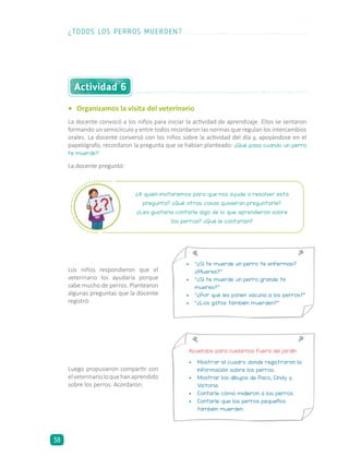 Los niños respondieron que el
veterinario los ayudaría porque
sabe mucho de perros. Plantearon
algunas preguntas que la docente
registró:
¿A quién invitaremos para que nos ayude a resolver esta
pregunta? ¿Qué otras cosas quisieran preguntarle?
¿Les gustaría contarle algo de lo que aprendieron sobre
los perros? ¿Qué le contarían?
Acuerdos para cuidarnos fuera del jardín
•	 Mostrar el cuadro donde registraron la
información sobre los perros.
•	 Mostrar los dibujos de Paco, Cindy y
Victoria.
•	 Contarle cómo midieron a los perros.
•	 Contarle que los perros pequeños
también muerden.
•	 “¿Si te muerde un perro te enfermas?
¿Mueres?”
•	 “¿Si te muerde un perro grande te
mueres?”
•	 “¿Por qué les ponen vacuna a los perros?”
•	 “¿Los gatos también muerden?”
•	 Organizamos la visita del veterinario
La docente convocó a los niños para iniciar la actividad de aprendizaje. Ellos se sentaron
formando un semicírculo y entre todos recordaron las normas que regulan los intercambios
orales. La docente conversó con los niños sobre la actividad del día y, apoyándose en el
papelógrafo, recordaron la pregunta que se habían planteado: ¿Qué pasa cuando un perro
te muerde?
La docente preguntó:
Actividad 6
Luego propusieron compartir con
elveterinarioloquehanaprendido
sobre los perros. Acordaron:
¿TODOS LOS PERROS MUERDEN?
38
 