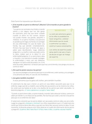 Estas fueron las respuestas que obtuvieron:
•	¿Si te muerde un perro te enfermas? ¿Mueres? ¿Si te muerde un perro grande te
mueres?
“Los perros son animales muy lindos y cuando
vemos a uno seguro que nos dan ganas
de acariciarlo, pero hay que tener cuidado
cuando un perro no nos conoce, porque
nos puede morder, sea grande, pequeño o
mediano. Si un perro muerde a una persona
es posible que le haga una herida o lo contagie
de una enfermedad. En caso de haber una
herida, hay que atender inmediatamente.
Primero hay que lavar la herida con agua y
jabón para desinfectarla; luego debemos
preguntar a su dueño si está vacunado contra
la rabia. ¿Saben qué es la rabia? Es una
enfermedad peligrosa. Si un perro tiene rabia
y muerde a una persona la puede contagiar
la enfermedad y morir, por eso debemos
averiguar si el perro está vacunado o no. Si no
está vacunado, debemos ir al doctor para que nos cure la herida y nos ponga una vacuna
contra la rabia”.
•	¿Por qué les ponen vacuna a los perros?
Las vacunas protegen a los perros para que no se enfermen, estén sanitos y no contagien
a las personas de rabia, en caso de una mordedura.
•	¿Los gatos también muerden?
A veces pensamos que los gatos solo arañan, pero también muerden.
El veterinario les dijo que si tienen un perro en casa deben vacunarlo para que no se
enferme, luego sacó de su maletín unas cartillas de vacunación y se las mostró a los niños;
les contó que esa tarjeta se la dan a los dueños de los perros que están vacunados. La
docente pregunta: ¿Y cómo sabremos si un perro tiene rabia?
“Cuando un perro tiene rabia, se pone molesto, muerde, bota saliva por la boca, camina sin
saber por dónde ir y se choca con las paredes. Por eso hay que cuidar y vacunar a los perros
para que no se enfermen de rabia”.
El veterinario comentó que los perros deben ser vacunados contra la rabia una vez al año.
Luego les preguntó: ¿Conocen a Victoria? Los niños respondieron que sí. El veterinario les
contó que Victoria tiene diez años y que por eso tiene diez vacunas contra la rabia. En ese
momento, la docente propuso a los niños observar el cuadro de información de los perros
y preguntó: ¿Cuántos años tiene Paco? Si Paco tiene 6 años, ¿cuántas vacunas tendrá?
La visita del veterinario generó
en los niños la posibilidad de
hacer preguntas y obtener
información que los ayudó
a confrontar sus ideas y
construir nuevos conocimientos.
Las visitas de expertos pueden
darse dentro del aula o fuera
de ella (en el lugar de trabajo
del experto).
PROYECTO5
PROYECTOS DE APRENDIZAJE EN EDUCACIÓN INICIAL
43
 