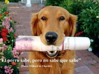“ El perro sabe, pero no sabe que sabe” (Pierre Teilhard de Chardin) 