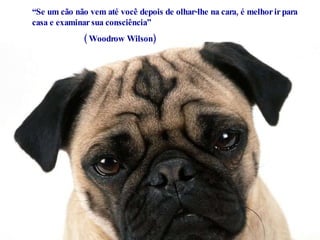 “ Se um cão não vem até você depois de olhar-lhe na cara, é melhor ir para casa e examinar sua consciência” ( Woodrow Wilson) 