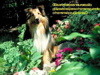 “ Os animais e a natureza são pouca coisa para o homem quando o homem é pouca coisa.” 