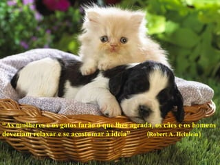 “ As mulheres e os gatos farão o que lhes agrada, os cães e os homens deveriam relaxar e se acostumar à ideia”  (Robert A. Heinlein) 