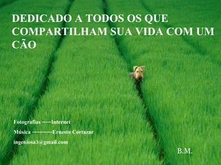 DEDICADO A TODOS OS QUE COMPARTILHAM SUA VIDA COM UM CÃO Fotografias -----Internet Música -----------Ernesto Cortazar  [email_address] B.M. 
