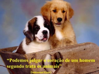 “ Podemos julgar o coração de um homem segundo trata os animais”  (Immanuel Kant) 