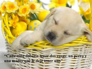 “ Cada niño debería tener dos cosas: un perro y una madre que le deje tener uno” 