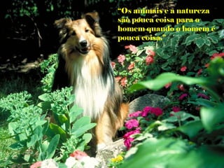 “ Os animais e a natureza são pouca coisa para o homem quando o homem é pouca coisa.” 