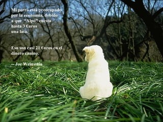 Mi perro está preocupado  por la economía, debido  a que  “Alpo” cuesta  hasta 3 €uros  una lata.  Eso son casi 21 €uros en el  dinero canino. -- Joe Weinstein   