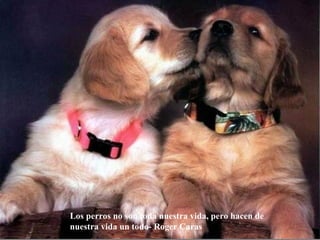 Los perros no son toda nuestra vida, pero hacen de nuestra vida un todo - Roger Caras 