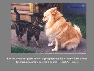 Las mujeres y los gatos hacen lo que quieren, y los hombres y los perros deberían relajarse y hacerse a la idea -  Robert A. Heinlein 