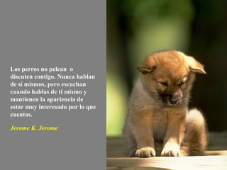 Los perros no pelean  o discuten contigo. Nunca hablan de sí mismos, pero escuchan cuando hablas de ti mismo y mantienen la apariencia de estar muy interesado por lo que cuentas. Jerome K. Jerome   