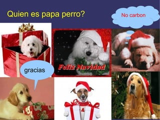 Quien es papa perro?   No carbon




    gracias
 