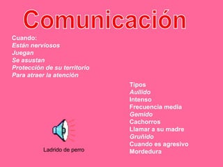 Cuando: Están nerviosos Juegan Se asustan Protección de su territorio  Para atraer la atención  Comunicación Tipos  Aullido  Intenso  Frecuencia media  Gemido  Cachorros  Llamar a su madre  Gruñido  Cuando es agresivo  Mordedura  Ladrido de perro 